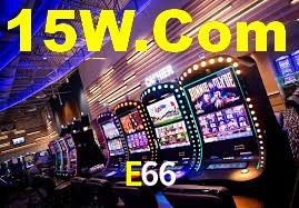 Premium Interface E66